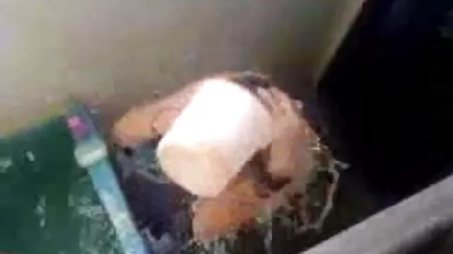 તેમણે એકલા એક્સ વીડીયો સેકસી હતા હાઉસ