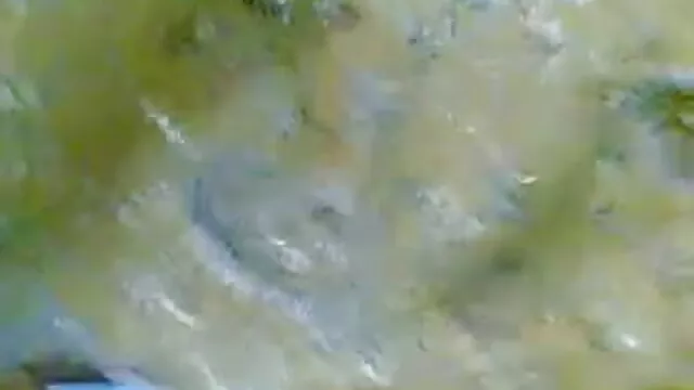 મને આપો ગુજરાતી સેકસી વીડીયો ફૂલ એચડી એક sissy