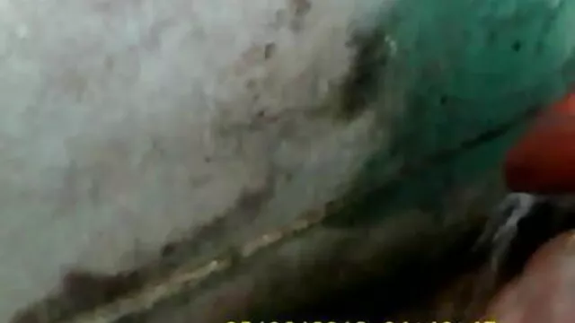 લાત તાજ ઓફ બોલ સેકસ વીડીયો બતાવો
