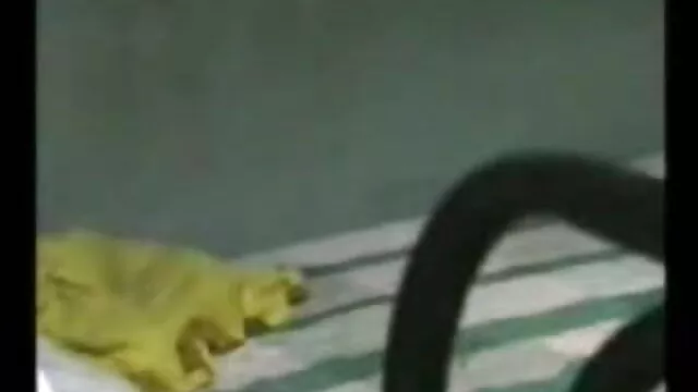 બેંગ ઓપન વીડીયો સેકસ માં asshole રાત્રે ક્લબ