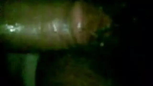 સેક્સ એક જાહેર સ્થળ છે, અને તે કેવી રીતે sucks ત્રીપલ એક્સ બીપી વીડીયો સેકસી