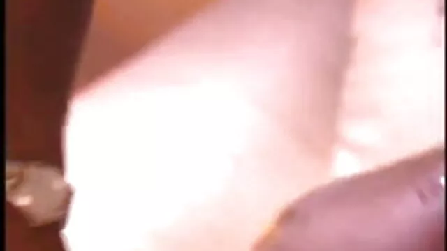 બિલાડી ઝઘડા porn