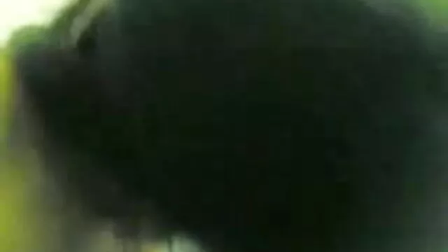 ચાલો suck નથી હિન્દી વીડીયો સેકસી સંતાપ