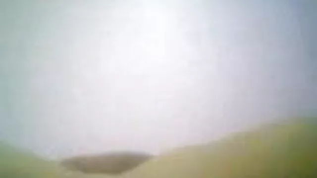 સહમત pornografinya ગુજરાતી સેકસી ફુલ વીડીયો