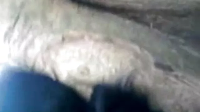 ગીચ ઝાડી બીપી સેકસી વીડીયો વાળ વાળુ