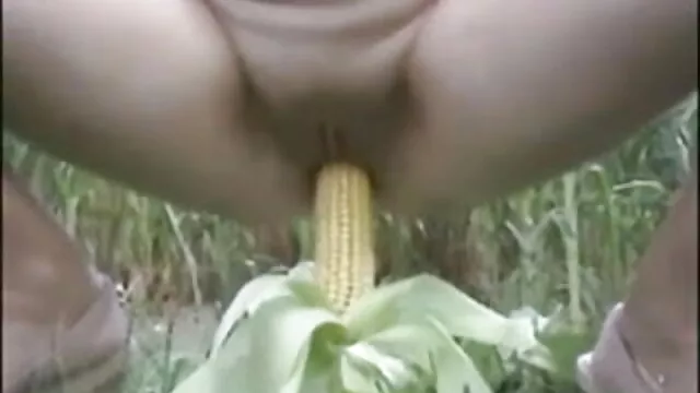 સેક્સ બીપી સેકસી વીડીયો પિચર પર વિમાન